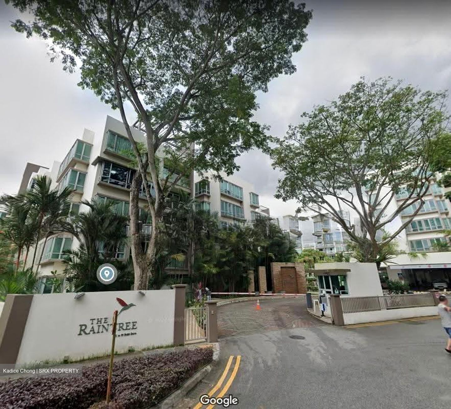 The Raintree (D21), Condominium #608104271